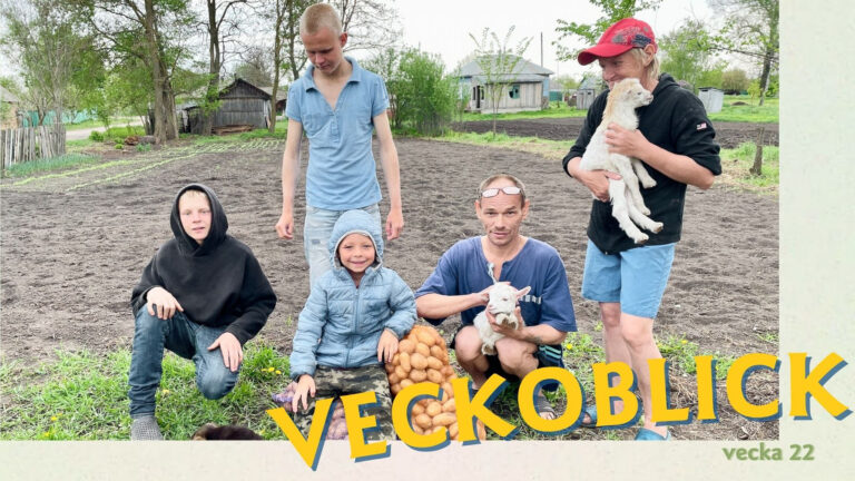 Veckoblick 22 från BarnensAmbassad, Ukraina