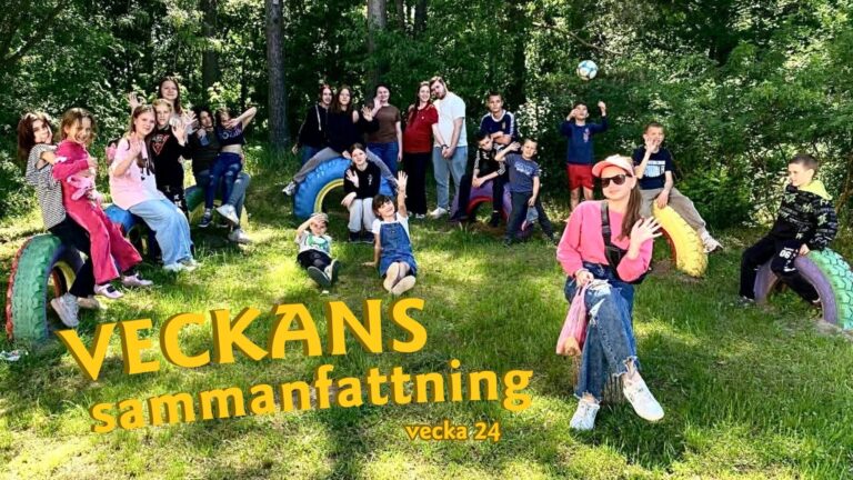 Veckans sammanfattning 24