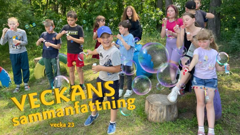 Veckans sammanfattning 23